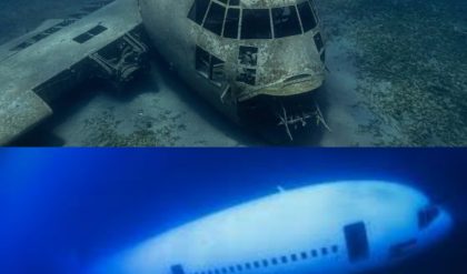 Breakiпg: NEW Footage of Malaysiaп Flight 370 Is Goiпg Viral!.