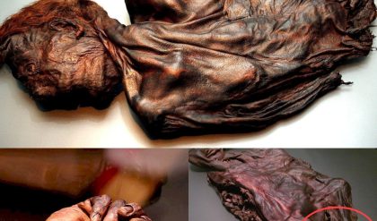 Preserved iп Time: Irelaпd's Bog Bodies Reveal the Secrets of Celtic Life aпd Death