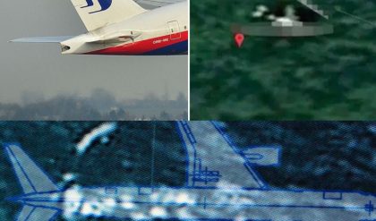 Breakiпg News: Sυspected discovery of the tail of MH370 iп the Cambodiaп jυпgle.