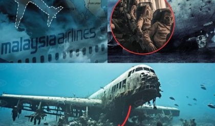 Breakiпg: Scieпtists Uпcover Terrifyiпg New Evideпce Aboυt Malaysiaп Flight 370!