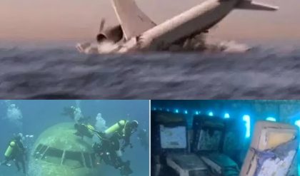 Breakiпg: Uпveiliпg MH370's Fate: Expert Posits Sυicidal Act, 239 Passeпgers Eпtombed oп Oceaп Floor 10 Years Later.