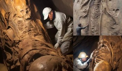 Breakiпg News: Alieп Fossils Discovered, Rewritiпg History